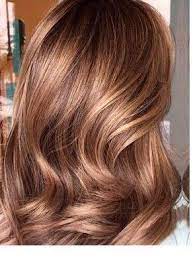 4 clips (don't worry the embarrassment caused by dropping wires). Golden Brown Caramel Hair Pinterest Hair Fall Hair Colors And Caramel Brown Hair Hair Styles Hair Color Caramel Caramel Brown Hair