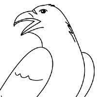 coloriage corbeau licorne  moto