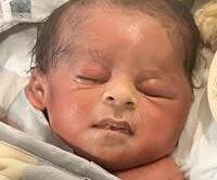 Donald Albert “Sarge” Wheeler