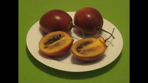 How To Eat Tamarillo Tree Tomato Tamamoro Youtube Tomato Eat Food Forest