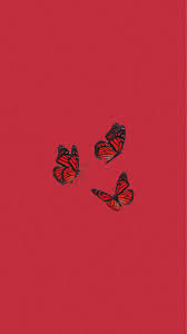 Love wallpaper iphone wallpaper cellphone wallpaper flower wallpaper wallpaper neon wallpaper galaxy wallpaper pretty wallpapers wallpaper backgrounds. Butterfly Wallpaper Iphone Wallpaper Vintage Butterfly Wallpaper Iphone Butterfly Wallpaper