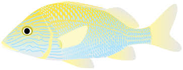 Download Fauna Fish