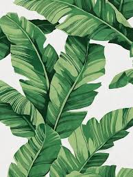 Palm leaf prints set of 3 prints these are a digital files, ready for instant download. Tropical Banana Leaves Poster By Catyarte Plant Wallpaper Banana Leaf Art Plant Painting