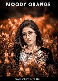 Moody Orange Lightroom Mobile Presets Lightroom Presets Lightroom Presets Download Lightroom Presets Portrait Lightroom Presets Collection