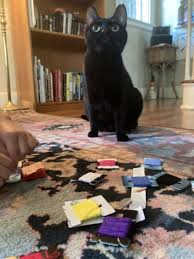 Home holiday shop patio & garden baby toys party supplies video games pets bedding collections bolster pillows decorative pillow decorative pillow set floor pillows lumbar pillows. A7jbaehvcdydgm