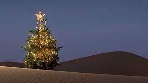 Western chili pepper wreath code: Merry Xmas From The Desert Radio Free Mobile