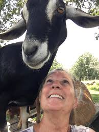 Strain Ranch Kinders