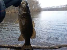 Fishing Lakes In Montgomery County Where To Fish Close To