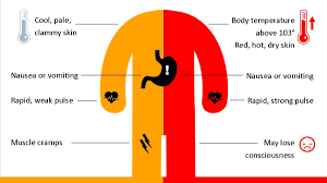 Providers need to understand how trauma can affect treatment presentation, engagement, and the outcome of behavioral health services. Heat Exhaustion Vs Heat Stroke Know The Difference