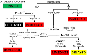 Simple Triage Algorithm And Rapid Treatment And Sort Assess