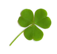 One traditional symbol of saint patrick's day is the shamrock. The Truth Behind St Patrick S Day Folklore Traditions And Symbolism Longisland Com