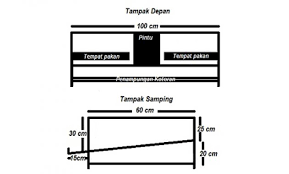 1.3 mempersiapkan bibit puyuh yang unggul. Syarat Wajib Membuat Kandang Ternak Burung Puyuh Yang Baik Belajar Beternak