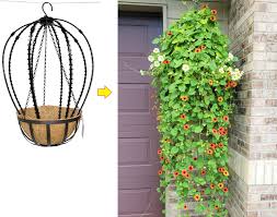 Vivosun's elastic trellis netting provides a sturdy support structure that effortlessly bears the weight of your i placed the first trellis of my 2 pack in to hold and guide future growth of the plants, saving the second one to install further up (higher) on the. Scroll Trellis Climbing And Hanging Plants 1 7 Foot Tall Black Polypropylene Heavy Duty Plastic Support Indoor And Outdoor Sphere Topiary Frame Obelisk 2 Black Buy Online In Antigua And Barbuda At Antigua Desertcart Com