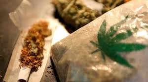 In deutschland ist es tatsächlich legal hanfsamen zu bestellen, aber nur wenn sie aus der europäischen union kommen. Kommentar Warum Cannabis Legalisiert Werden Sollte Politik Nordbayern
