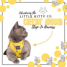 For us, introducing a third cat into our home brought peace between our existing two cats. Introducing The Cheesin Around Step In Harness The Third Of Four Gorgeous New Step In Cat Harnesses Available Online Now Plus Also