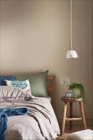 2021 paint colour & design trends. 18 Trending Dulux Colour 2021 Brave Ground Ideas Dulux Colour Dulux Trending Paint Colors