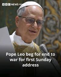 Indian Delegation to Visit Vatican City for Pontificate Inauguration