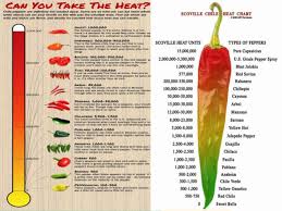 77 Explicit Chili Heat Scale