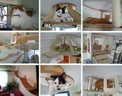 Check spelling or type a new query. 3d Cat Furniture Set Modular Hangouts For Walls Ceilings Urbanist