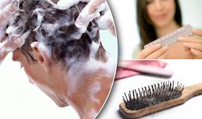 One major way stem cells turn into hair follicle cells is through dna methylation by an enzyme known as noncoding rnas can serve both good and bad functions in terms of controlling the genes that control hair growth. Hair Loss Myths Can The Contraceptive Pill And Over Washing Affect Your Locks Express Co Uk