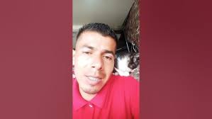 mi gatico queriendo Dormir la siesta #humor #cat #comedia #memes 😂😅😅