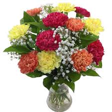 We did not find results for: Mixed Carnations For Uk Flower Delivery From Clare Florist