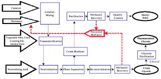 What Is Biodiesel