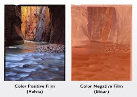 Color Film Choices For Landscapes Alex Burke Photography