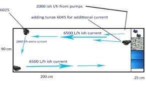 Faqs On Freshwater Aquarium Filtration 2