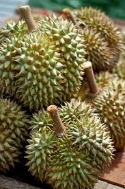 An intimate durian feast with family at the orchard itself. Bentong Durian Farm Home Facebook