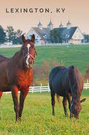 Maybe you would like to learn more about one of these? You May Already Know Lexington Ky As The Horse Capital Of The World Home Of Legendary Racing Champions And Some Of T Horse Farms Kentucky Horse Farms Horses
