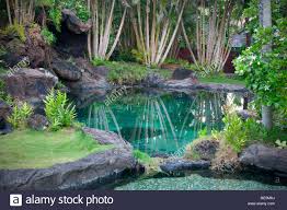 Teiche dienen nicht nur als kleines biotop im garten, sie sind auch ein optisches highlight. Teich Und Garten In Na Aina Kai Botanischen Garten Kauai Hawaii Stockfotografie Alamy