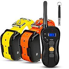 7 Best Dog Shock Collars Reviewed For 2020 Dog Collar Zone