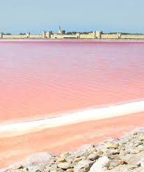 La Camargue Destination Guide France Travel Dream Travel Destinations Camargue