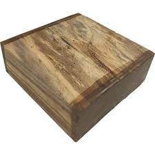 Image result for Xylia torreana