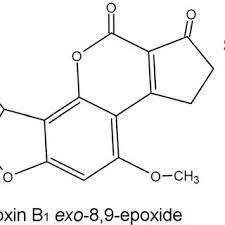 Biotransformation Route Of Aflatoxin B 1 Into Aflatoxin B 1 Download Scientific Diagram