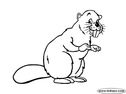 Free printable beaver coloring page for kids. Beaver Coloring Page Coloring Pages Animal Sketches Wood Badge