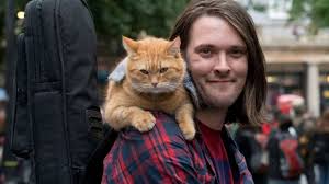 Seis filmes sobre pets que deixarão o seu dia melhor