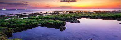 We did not find results for: 30 Tempat Wisata Di Kupang Terpopuler 2021 Tiket Com