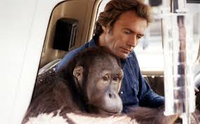 View all every which way but loose lists (58 more). Test Your Knowledge Name The Classic Pick Up Clint Eastwood Drove In Every Which Way But Loose