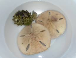 「カシパン」の画像検索結果