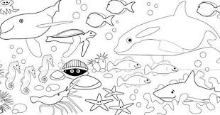 Contoh belajar mewarnai anak tk paud terbaru. Kumpulan Sketsa Gambar Mewarnai Binatang Laut Untuk Anak Paud Tk Terbaru Gambarcoloring