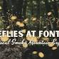 Fireflies at Fontana
