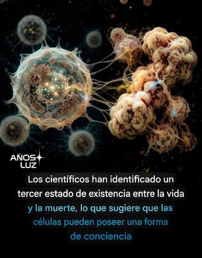  ¡Aunque no lo creas! Acaban de encontrar en un asteroide una molécula  que tu cerebro utiliza para producir serotonina.  Lo que parecía ciencia  ficción acaba de convertirse en una de