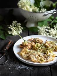 Frittierte Holunderbluten Susser Sommer Snack Aus Der Natur Rezept In 2020 Rezepte Lebensmittel Essen Snack