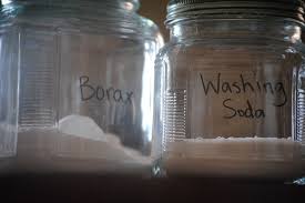 borax for plants plant your world