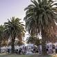 Sunset on Seppeltsfield Road event image