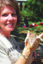 Dolphins make history