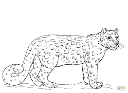 This snow leopard coloring page is a wonderful afternoon activity as there are lots of details to how to color a snow leopard part 1 instructions. Pin On Library Programming