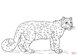 Top 25 free printable leopard coloring pages online. Snow Leopard Coloring Page Free Printable Coloring Pages Snow Leopard Pictures Snow Leopard Drawing Leopard Pictures